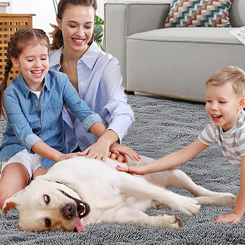 Shaggy Fluffy Area White Pink Custom Color Rugs For Living Room